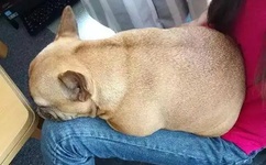 9612黄桃网站进入页面导航